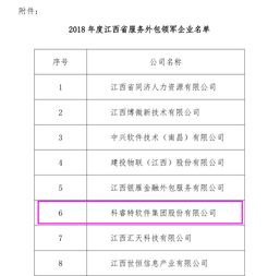 科睿特軟件集團榮獲2018年江西省服務外包領軍企業(yè)稱號
